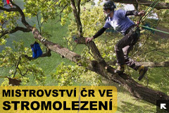 MČR v Stromolezení 2013