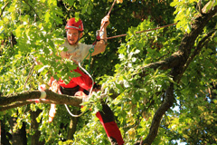 12. Mistrovství ČR v arboristice