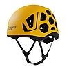 C0900YX / HEX - arnica yellow